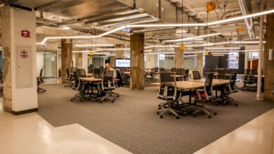 AI Startup Accelerators and Incubators