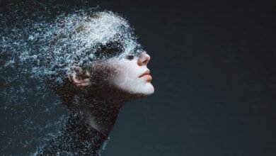 AI Solutions
