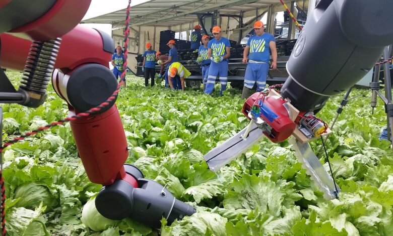 Agricultural Robotics