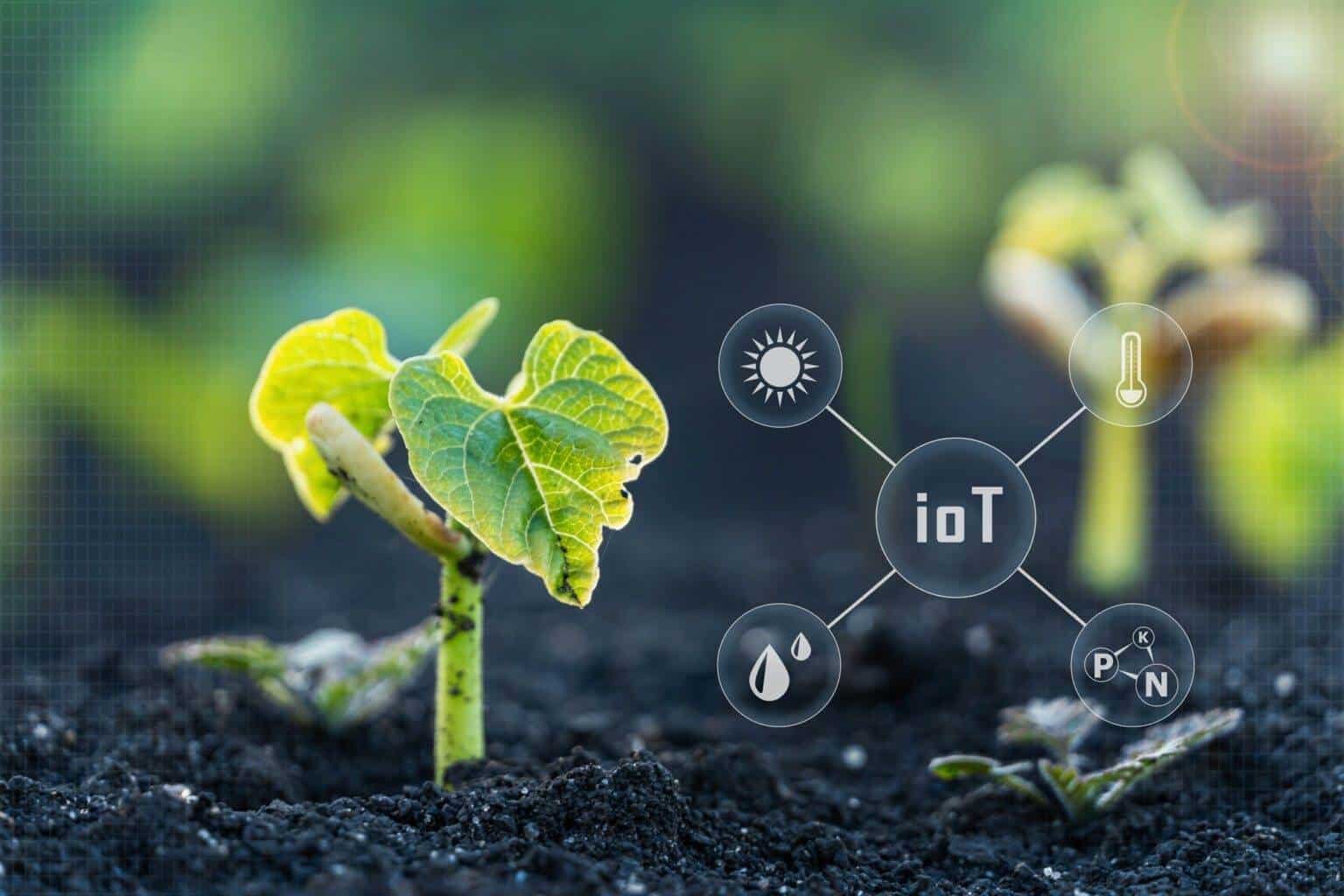 Benefits of IoT and Smart Sensors in Agriculture