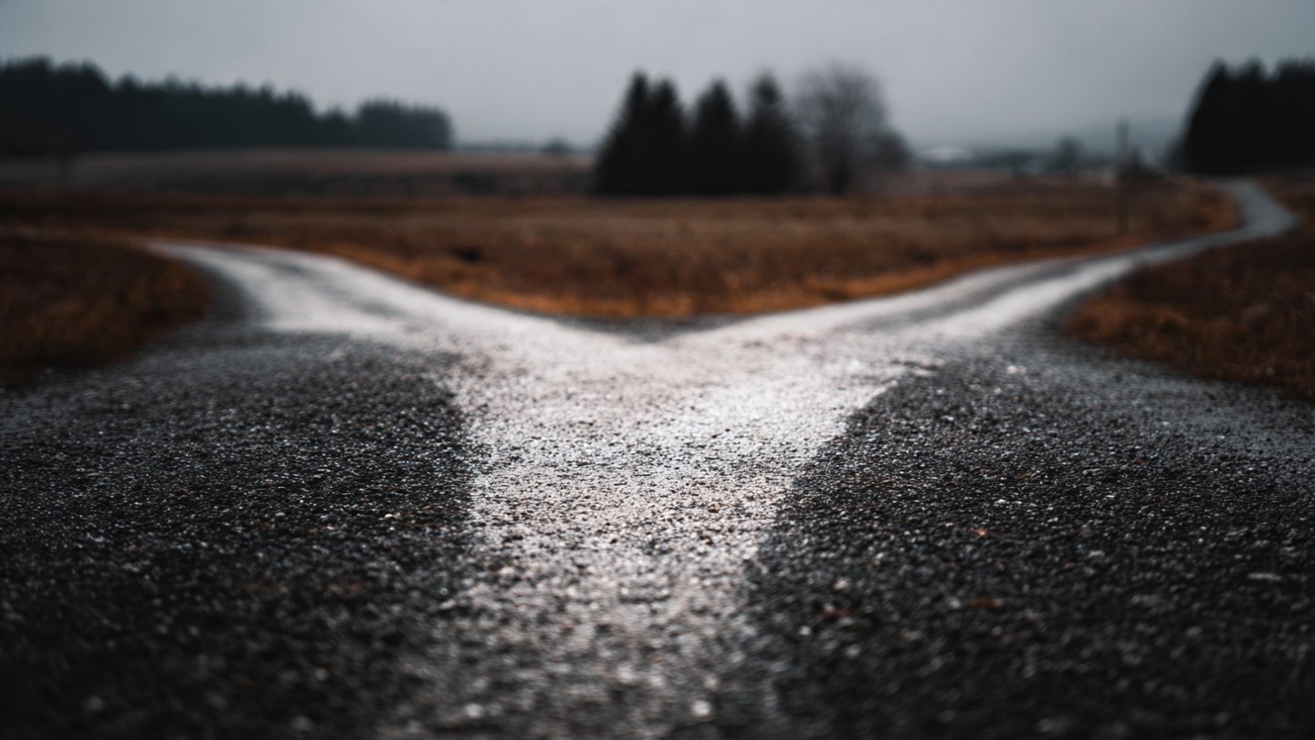 Decision Framework Choosing Your Path