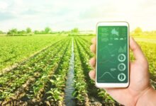 IoT in Agriculture