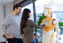 Social Robots