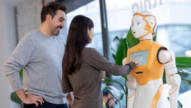Social Robots