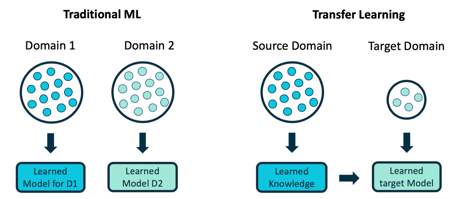 Challenges and Limitations of Transfer Learning